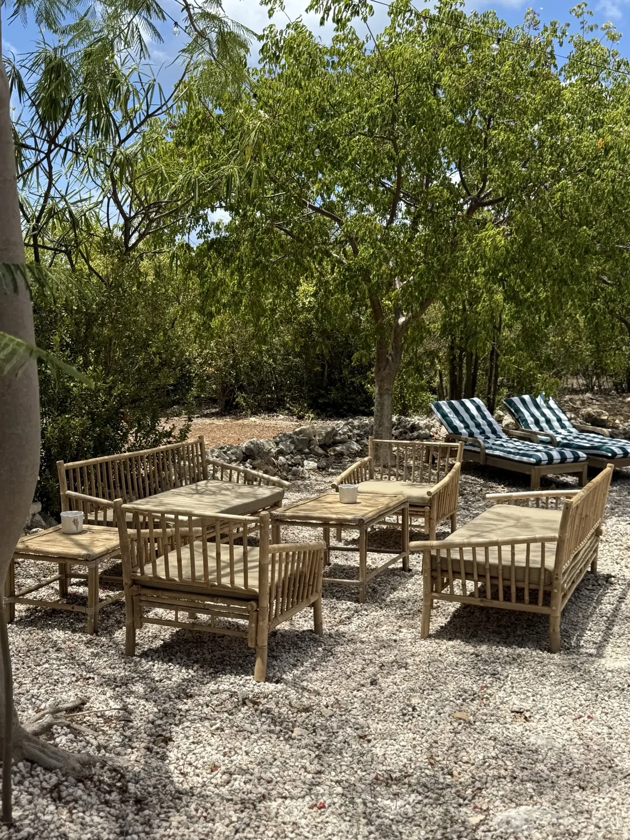 Salon extérieur en bambou sous les arbres du jardin tropical de Villa Les Oliviers, Les Terres Basses